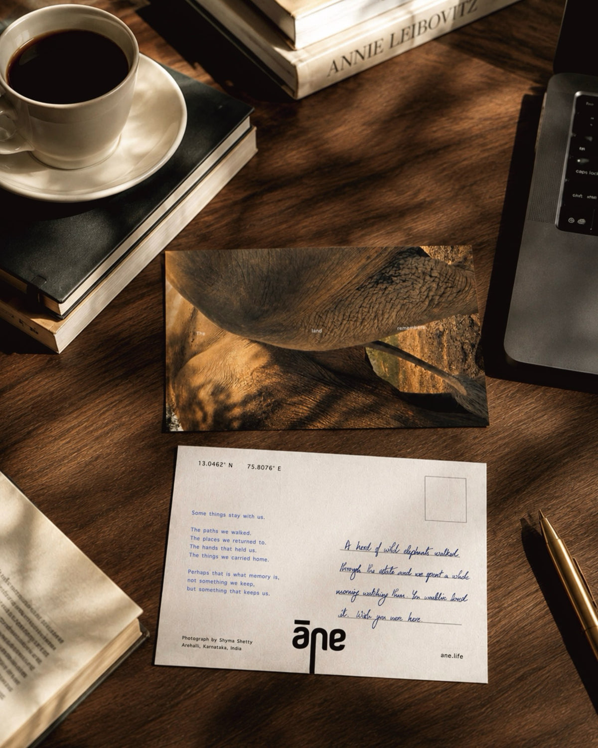 Āne Print Club postcard with an elephant photograph and a handwritten note, on a desk beside a cup of coffee