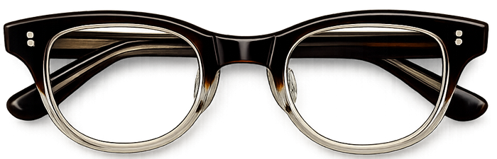 Shantha Shettys vintage reading glasses