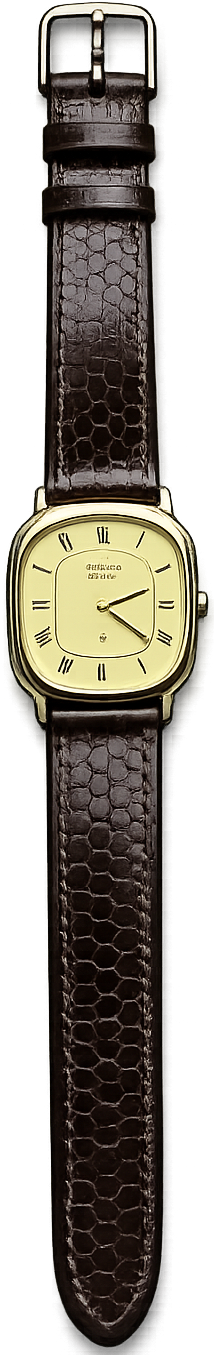 Vasu Shettys vintage mechanical wristwatch